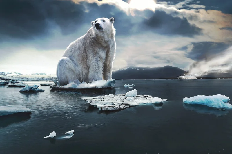 Vulnérabilité des populations : les inégalités climatiques qui tuent