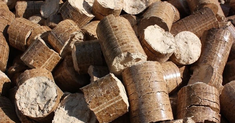 Chauffage au bois ou pompe à chaleur : lequel est le plus écologique pour le climat ?