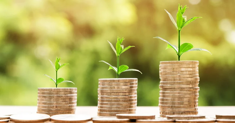 La RSE est-elle rentable ? Mon expérience directe