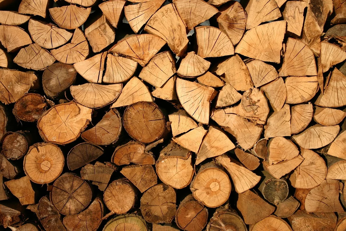 Déforestation : le couteau dans la plaie