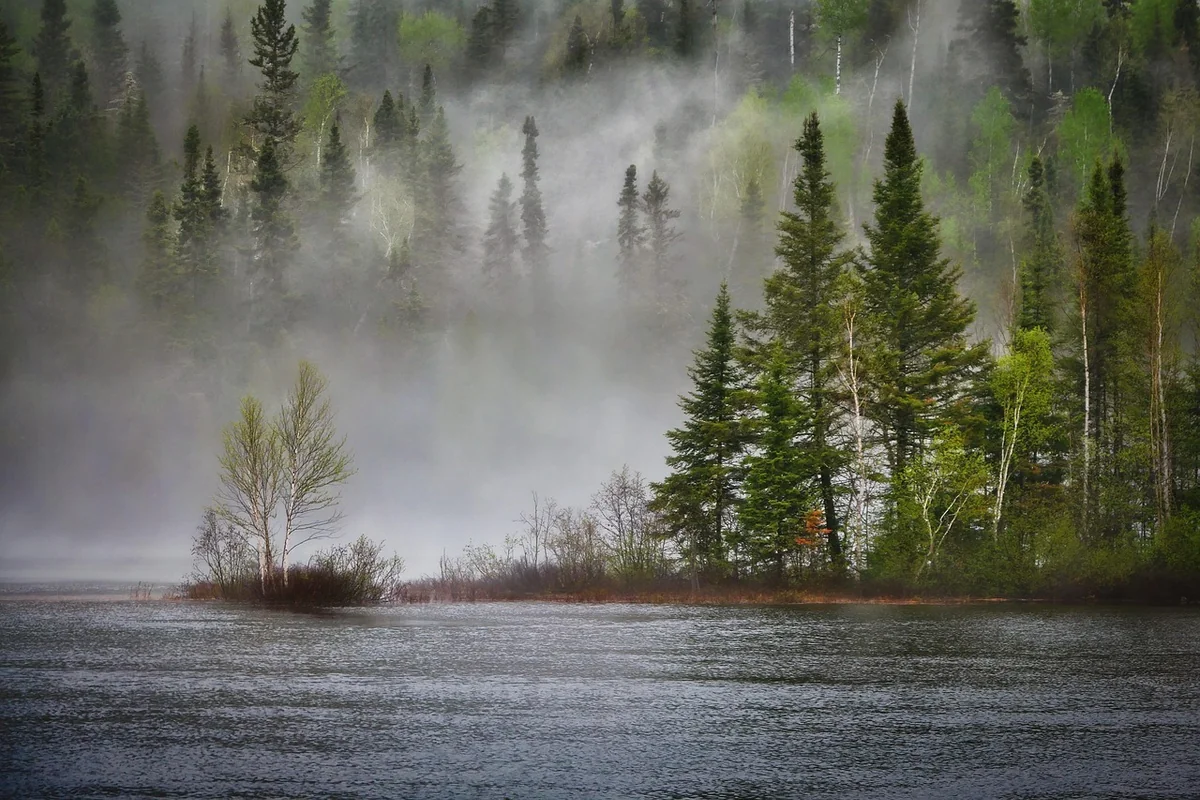 Biodiversité : le grand réservoir inconnu